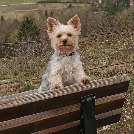 S'paradies Beilngries